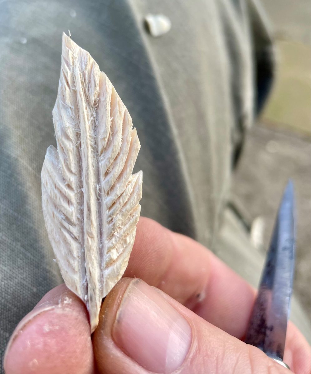 An Insignificant Thing - Hand Carved Beech Feather